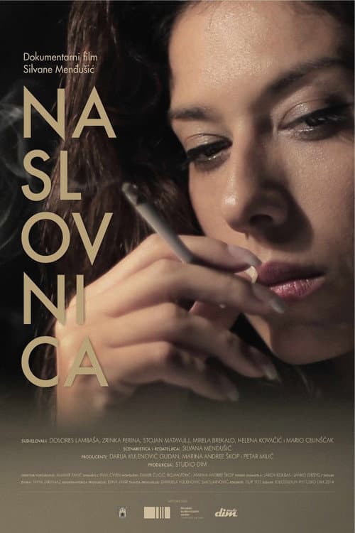 Naslovnica (2014) poster