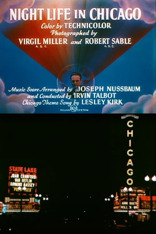 Night Life in Chicago (1948) poster