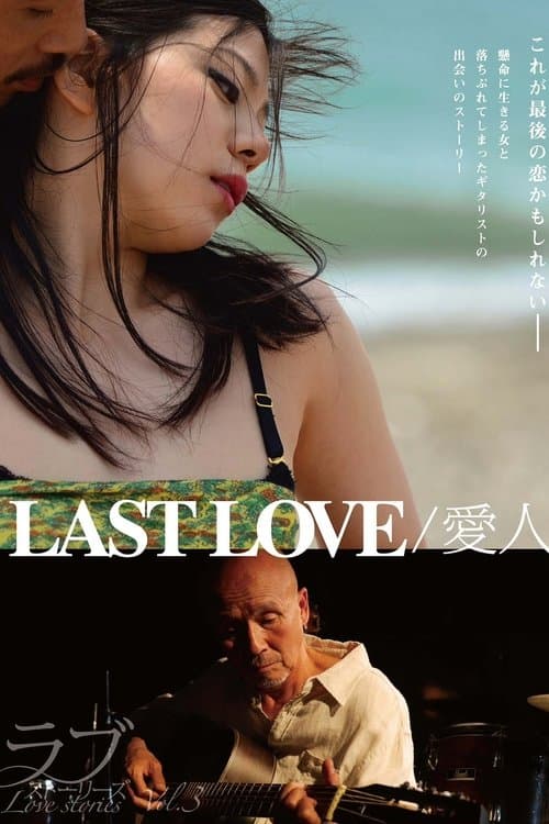 LAST LOVE / 愛人 (2014) poster