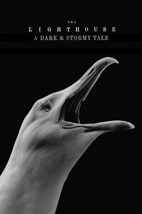 The Lighthouse: A Dark & Stormy Tale (2020) poster