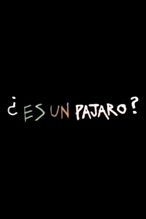 Es Un Pajaro (1974) poster