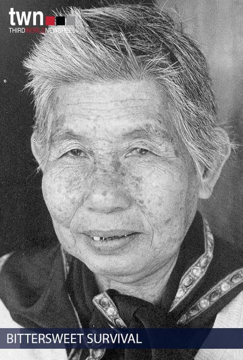 Bittersweet Survival: Southeast Asian Refugees in America (1982) poster