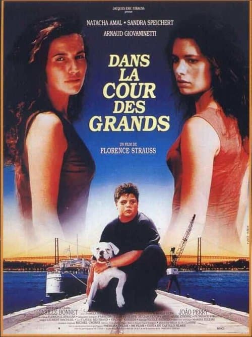 Dans la cour des grands (1995) poster