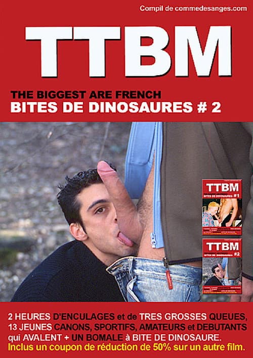 Bites de Dinosaures 2 (2008) poster