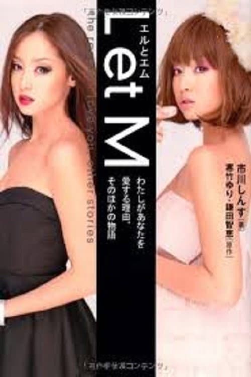 L et M わたしがあなたを愛する理由 (2013) poster