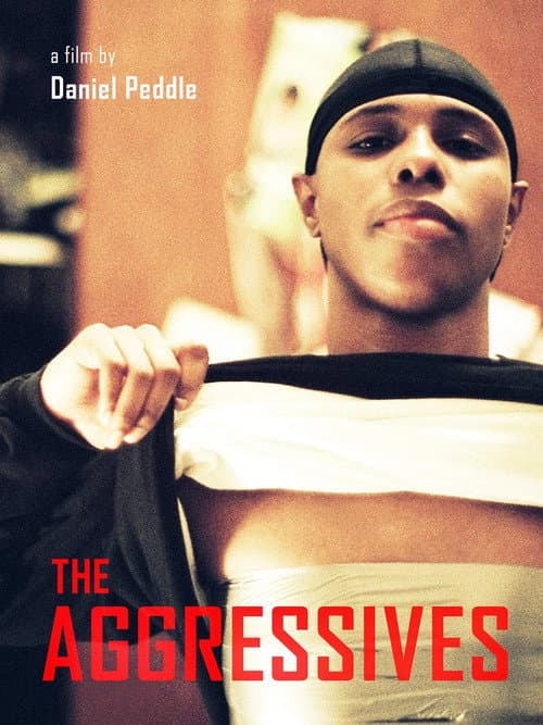 The Aggressives (2005) poster