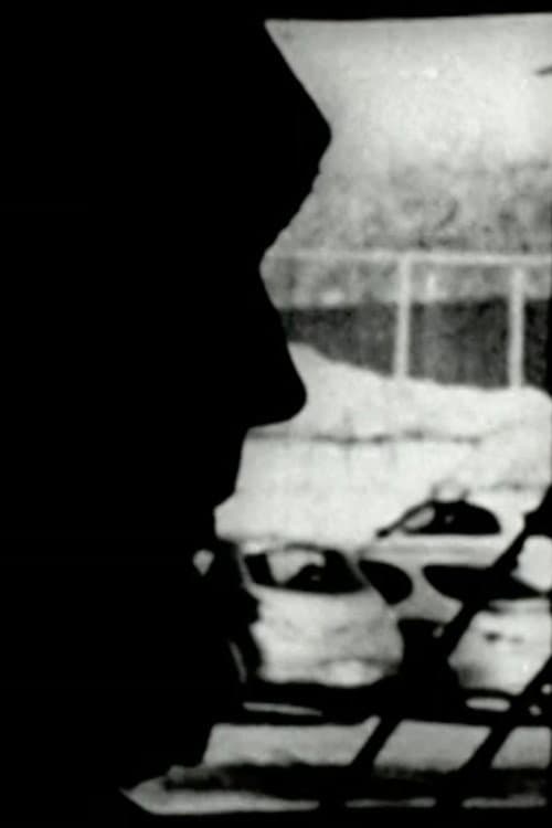 Perceptual Subjectivity (2009) poster