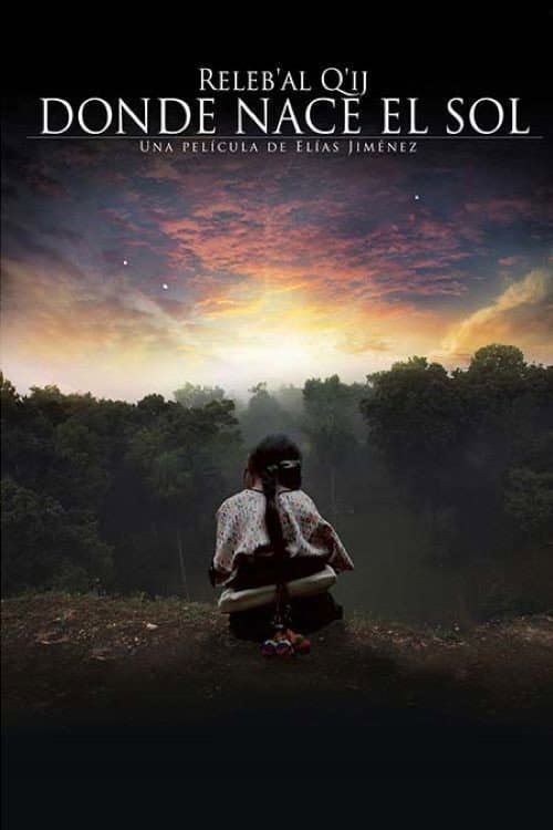Dónde Nace El Sol (2013) poster