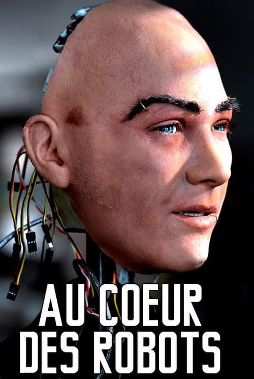 Au cœur des robots (2015) poster