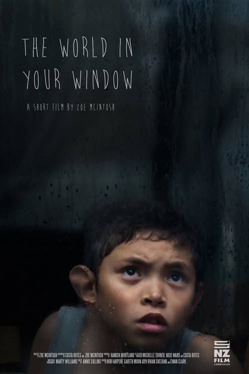 The World In Your Window (2017) poster