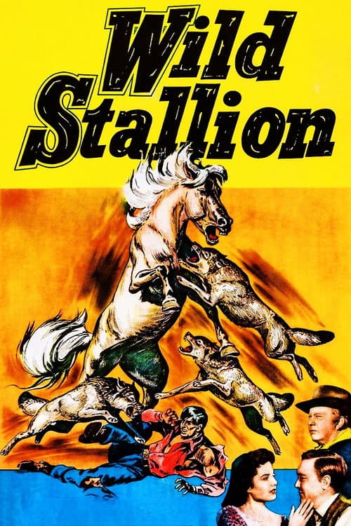 Wild Stallion (1952) poster