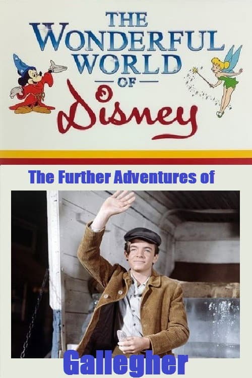 The Further Adventures of Gallegher (1965) poster