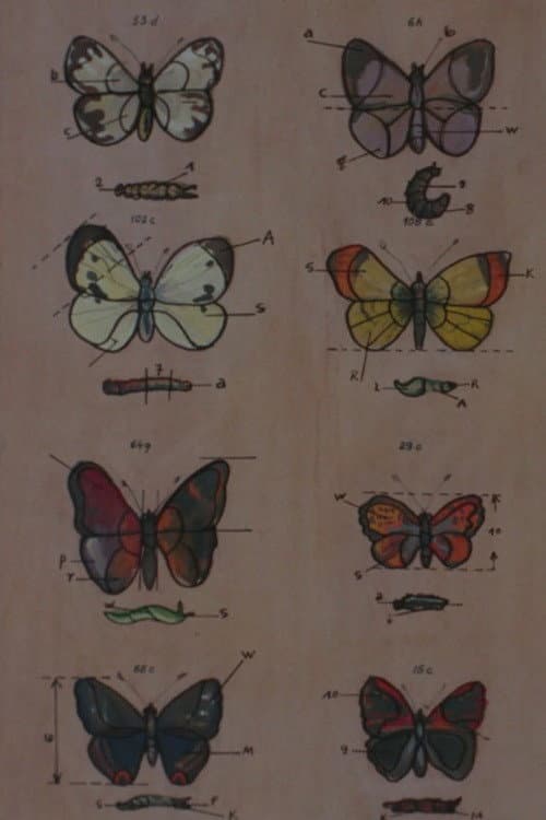 Lekcja anatomii (1968) poster