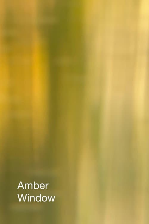 Amber Window (2025) poster