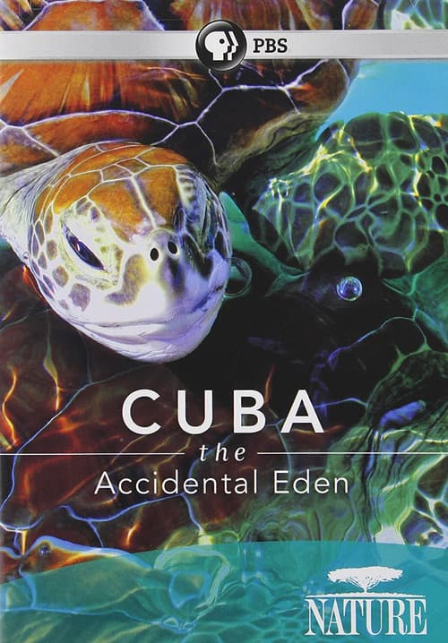Cuba: The Accidental Eden (2010) poster