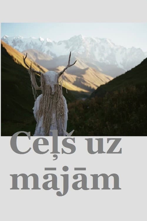 Ceļš uz mājām (2013) poster