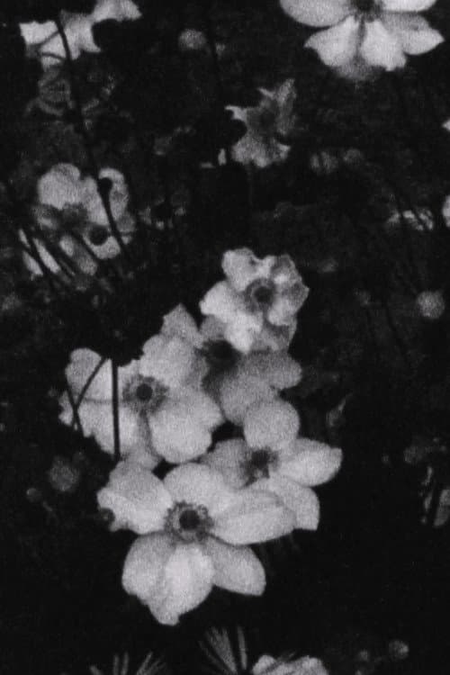 Für P. (Weiße Blumen) (2016) poster