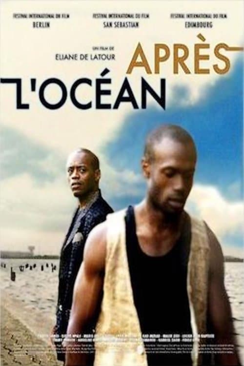 Les oiseaux du ciel (2006) poster