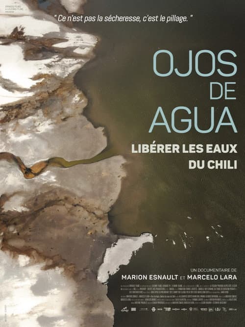 Ojos de agua (2025) poster