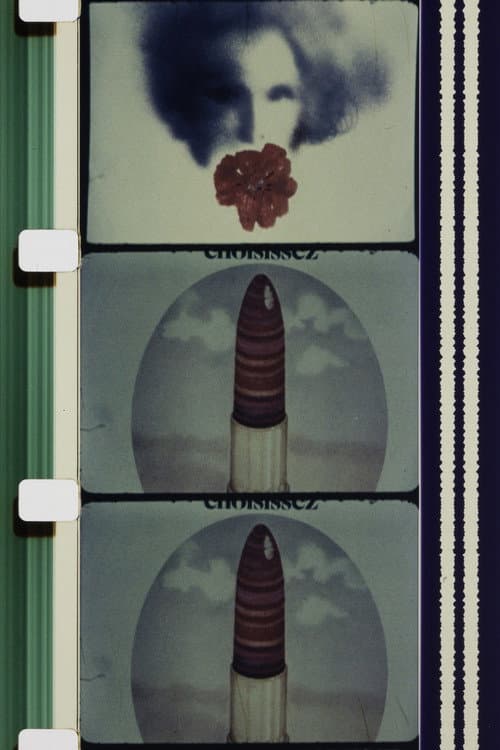 C'est Fou ! (1977) poster
