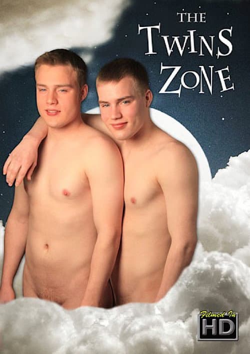 The Twins Zone (2009) poster