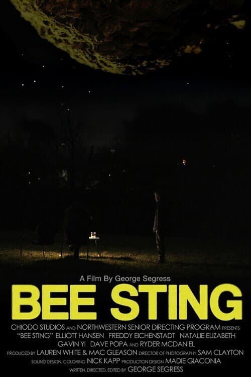 Bee Sting (2025) poster