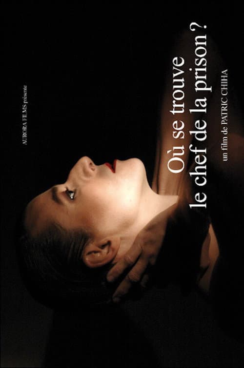 Où se trouve le chef de la prison? (2008) poster