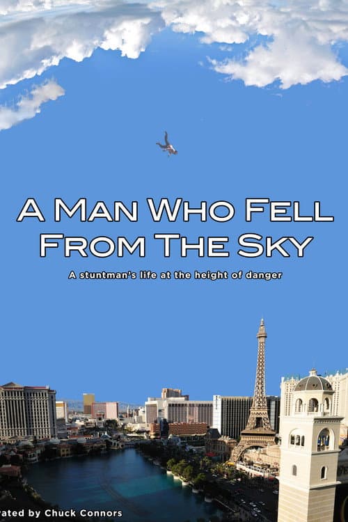 A Man Who Fell From The Sky (1999) poster