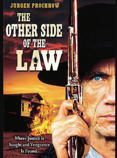 The Other Side of the Law (1994) poster