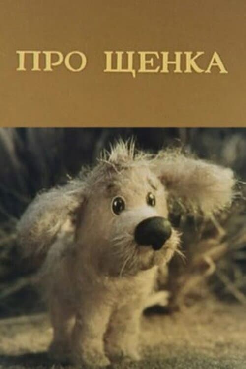 Про щенка (1979) poster