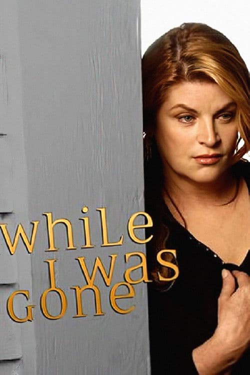 While I Was Gone (2004) poster