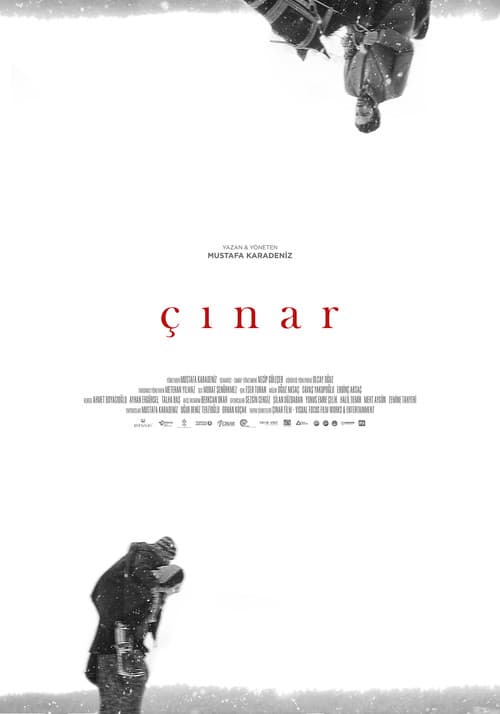 Çınar (2018) poster