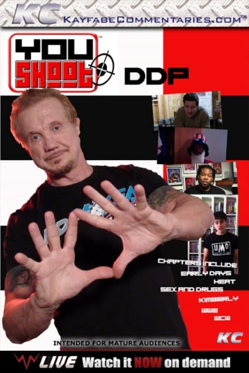 YouShoot: Diamond Dallas Page (2013) poster