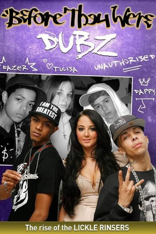 Before They Were Dubz (2011) poster