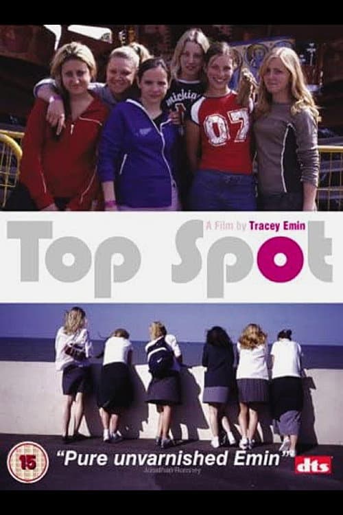 Top Spot (2004) poster