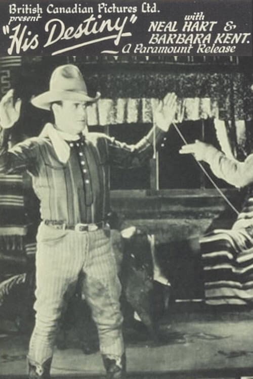 His Destiny (1928) poster