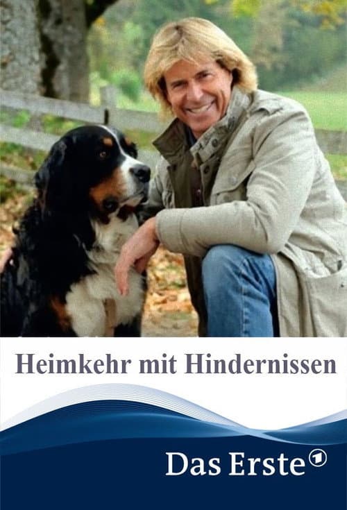 Heimkehr mit Hindernissen (2012) poster