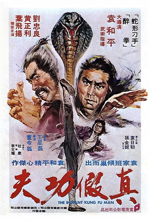 Zhen jia gong fu (1977) poster