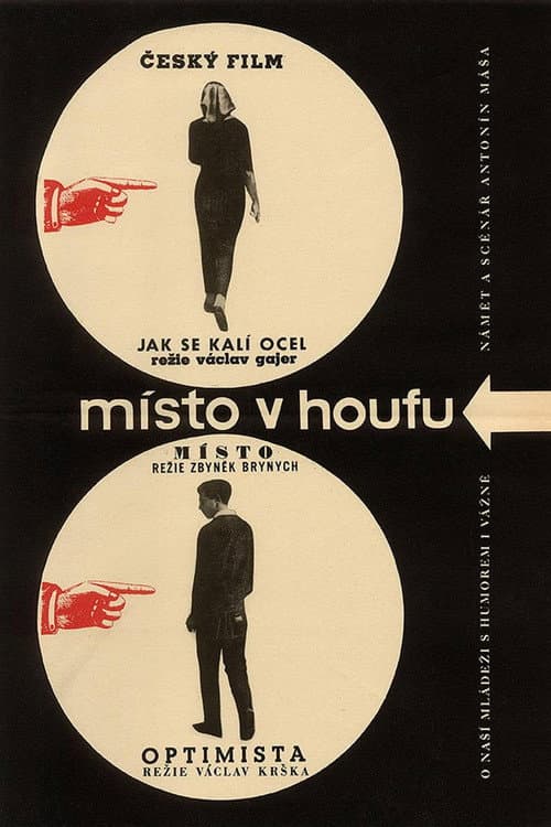 Místo v houfu (1964) poster