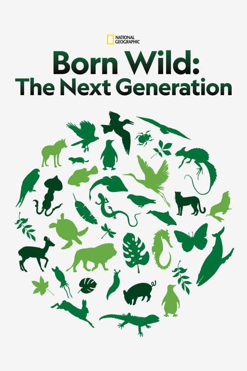 Born Wild: The Next Generation (2020) poster