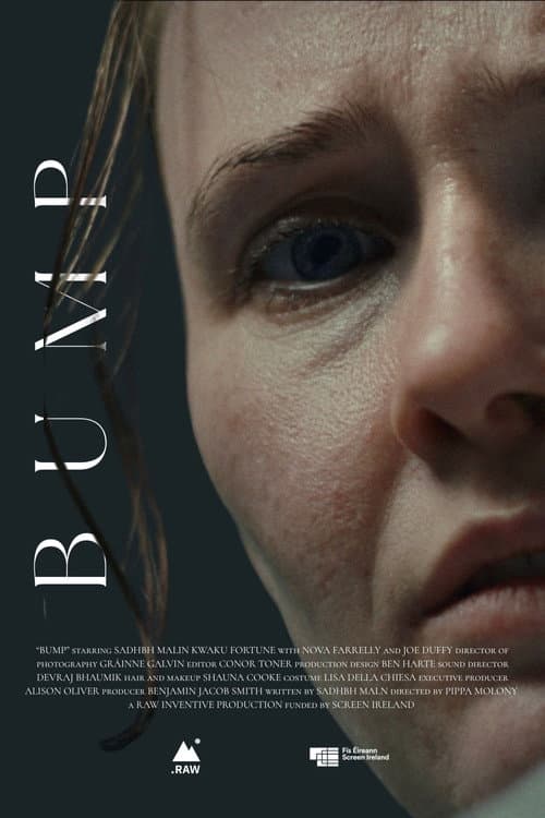 Bump (2026) poster