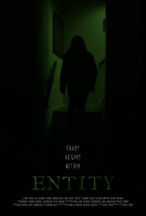 Entity (2026) poster