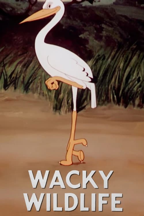 Wacky Wildlife (1940) poster
