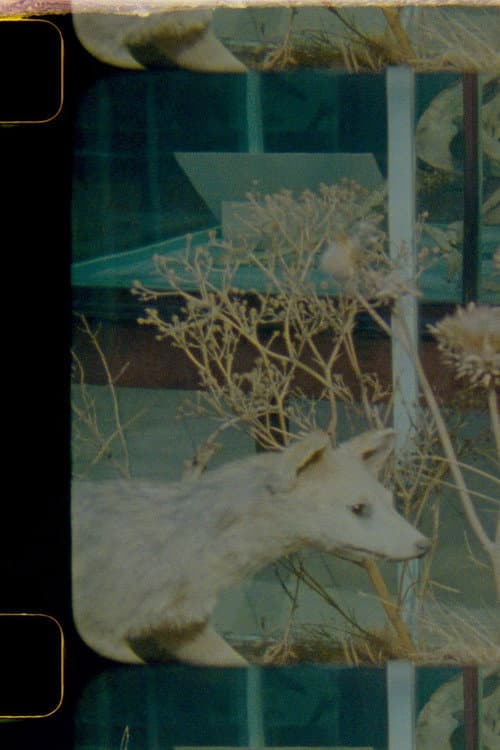 Herbaria (2022) poster