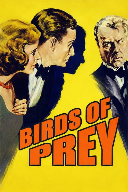 Birds of Prey (1930) poster
