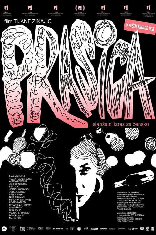 Prasica, slabšalni izraz za žensko (2021) poster