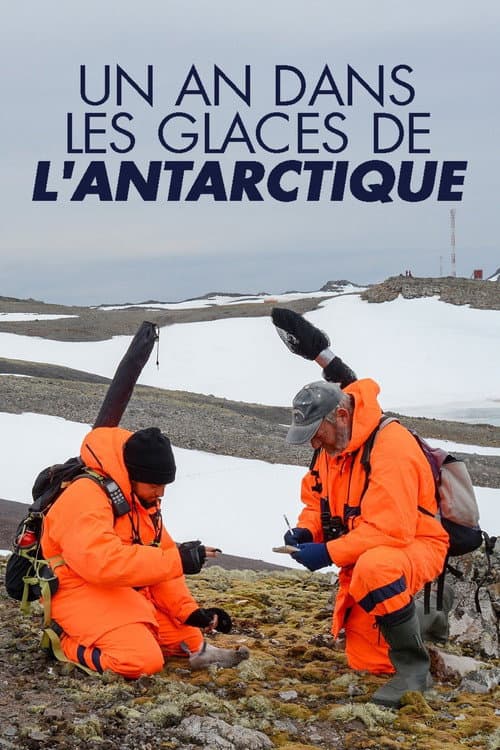 The Unknown Life of Antarctica (2019) poster