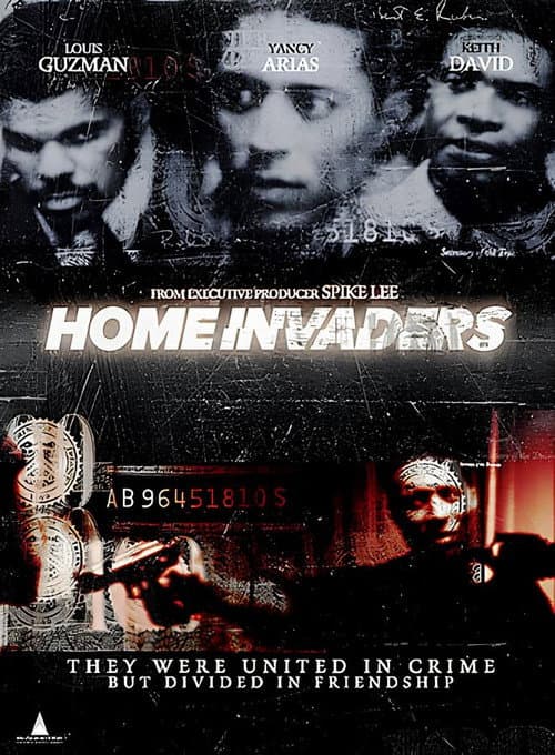 Home Invaders (2001) poster