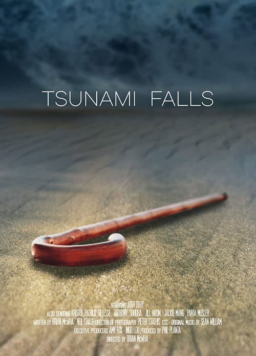 Tsunami Falls (2021) poster