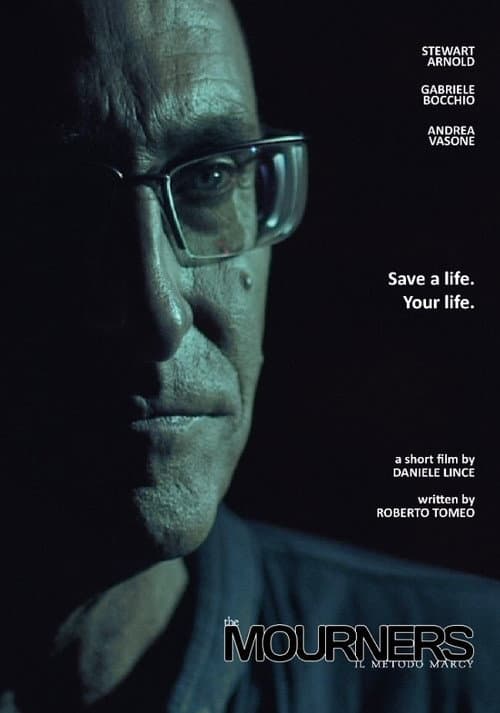 Il Metodo Marcy (2014) poster